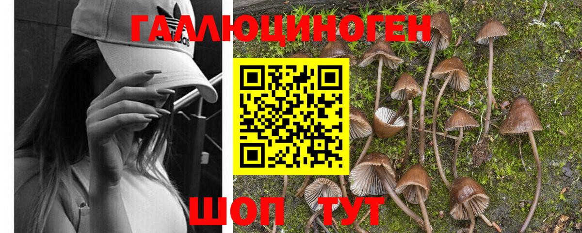 Галлюциногенные грибы MAGIC MUSHROOMS Отрадный