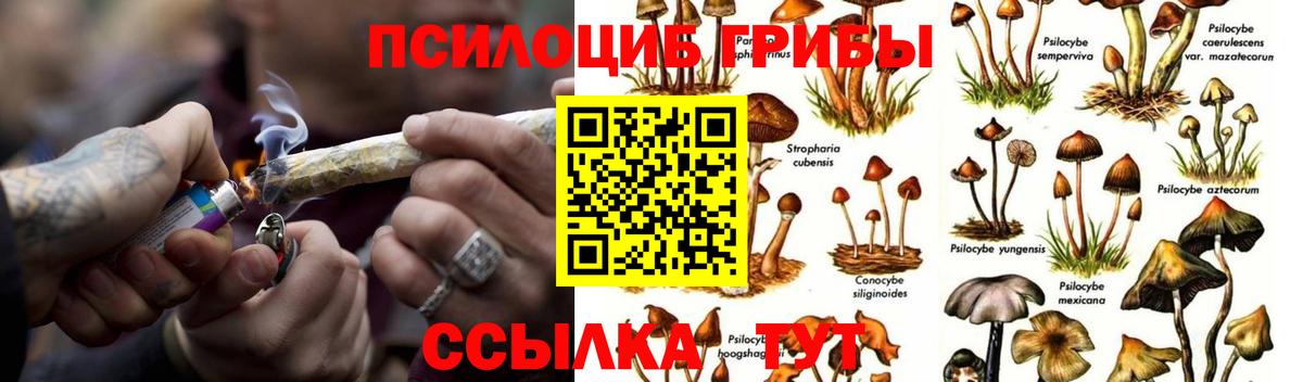 что такое наркотик  Вход с VPN  Отрадный  Галлюциногенные грибы GOLDEN TEACHER 