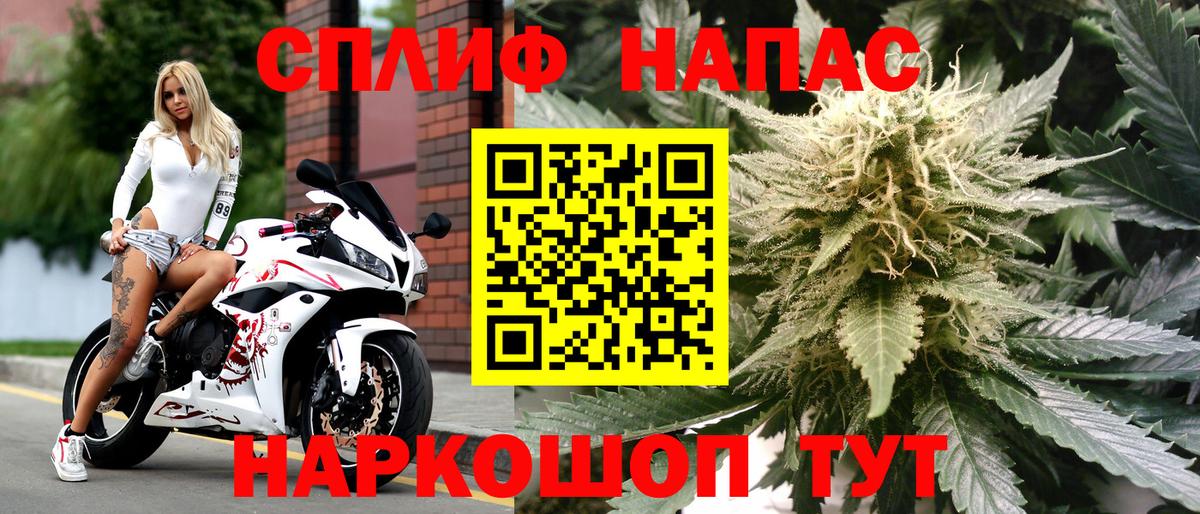 Конопля тримм Отрадный